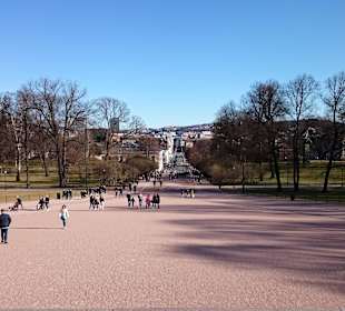 Widok spod zamku w dół miasta