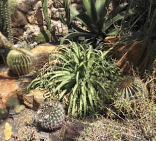 Botanischer Garten der Universität Zürich