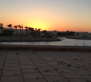 Stadtbesichtigung El Gouna