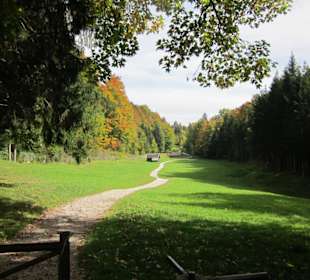 Weg zur Pfeifferalm