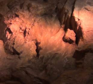 Alles für Nase und Gaumen