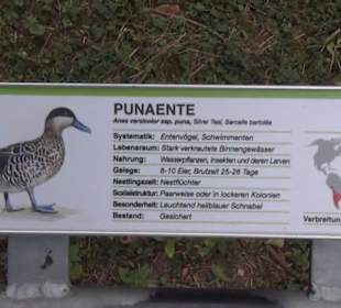 Vogelfreifluggelände