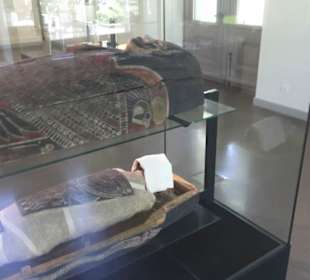 Archäologische Sammlung