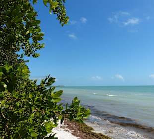 Abwechslungsreiche Fahrt