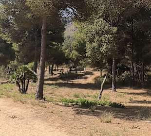 Cala Agulla/ Cala Guya