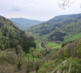 Wandern Todtnauberg