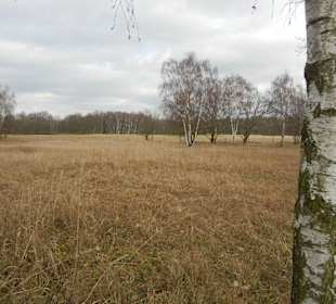 Naturschutzgebiet Boberger Niederung