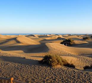 Dünen, nicht weit entfernt