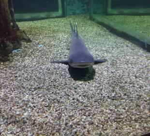 Stadtrundfahrt Aquarium