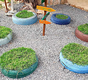 Botanischer Garten Viveiro