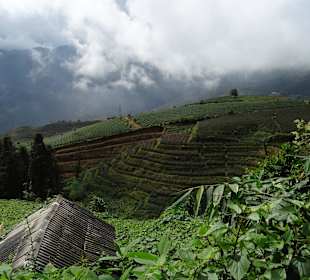 Auf dem Weg zum Wasserfall von Sapa