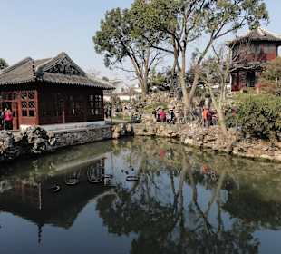 Озеро перед павильоном 36 пар уток-мандаринок