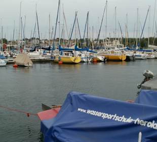 Cospudener See