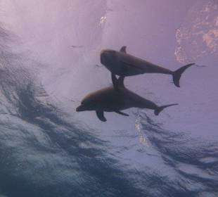 Einmalige Erlebnisse