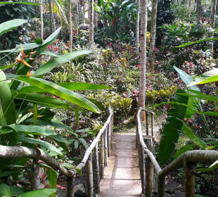 Harni's Plantation