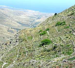 Inselrundfahrt AIDA Tagestour