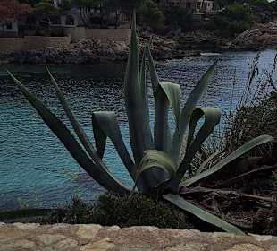 Wandern Cala Ratjada