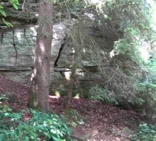 Wanderweg Märchensee Runde