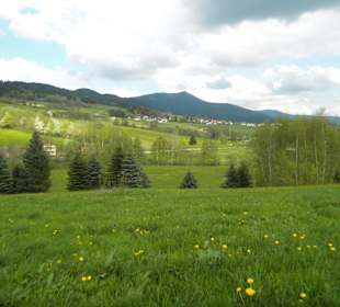 Bayrischer Wald