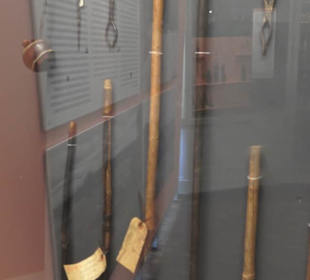 Museum für Völkerkunde
