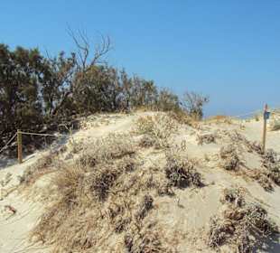 Elafonissi Strand Dünen