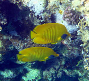 Wir kommen wieder, aber nur noch im Winter