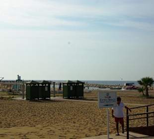 Inspirationen an d.Strandprom.entlang Nov.2010