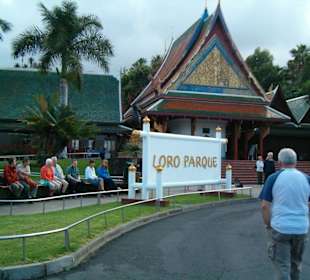 Wejscie do loro parque.