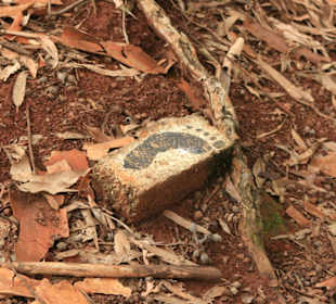 Wanderwegmarkierung leider nicht fixiert.