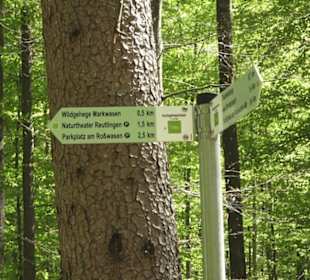 Wanderweg Hochgehwachsen
