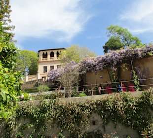  Generalife