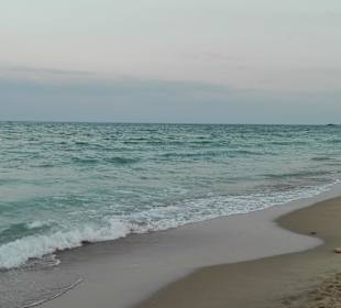 Strand feinsandig