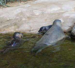 Im Zoo 22