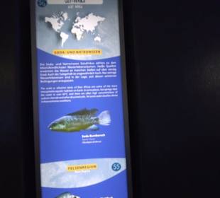 Aquarium