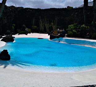Jameos del Agua 