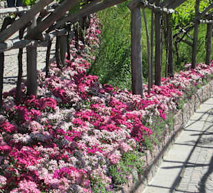 Gärten Schloss Trauttmansdorff in Meran