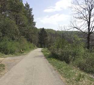 Waldlehrpfad an der Lauter