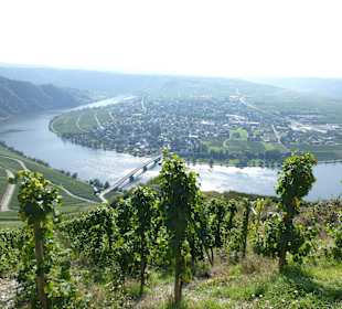 Panoramastraße oberhalb Piesport