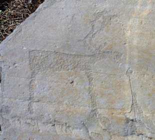 Petroglyphen 