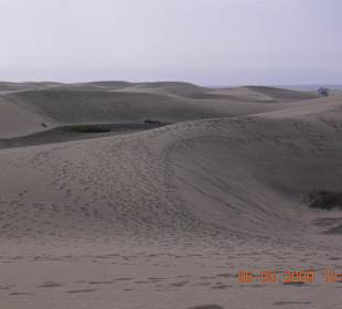 Dünen von Maspalomas