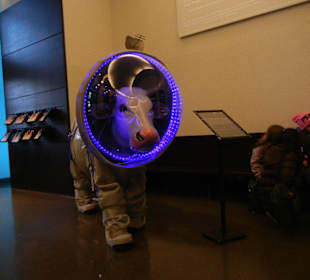 Planetarium Stella