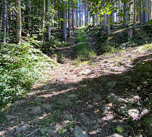 Wandern Drachselsried