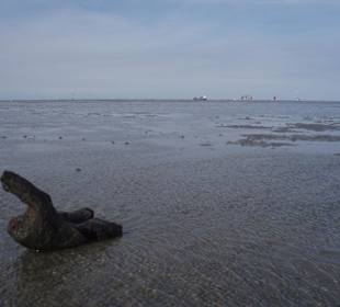 Das Wattenmeer