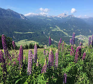 Wandern Hermagor - Pressegger See