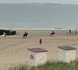 Strand 500 Meter vom Ferienpark Landal Strand Resort Nieuwvl