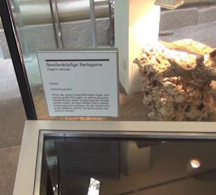 Niedersächsisches Landesmuseum