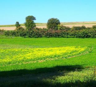 Wanderung zum Signalstein Fränk.Schweiz