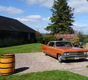 Old Mobil auf der Wiese.