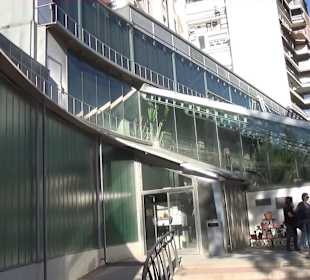 Real Jardín Botánico