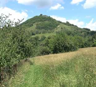 HAP Grieshaber Rundweg